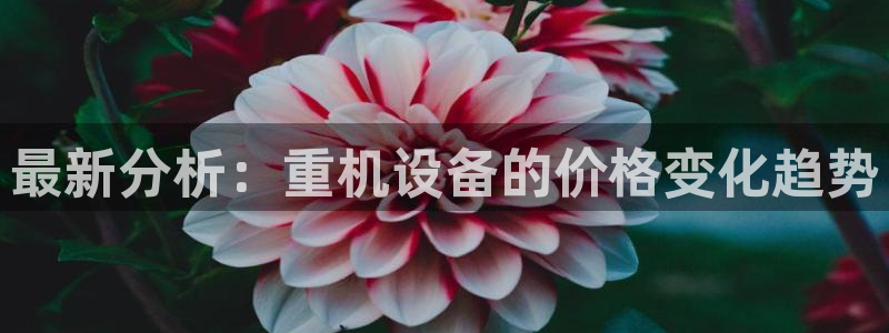 顺盈娱乐主管右原判官333OO