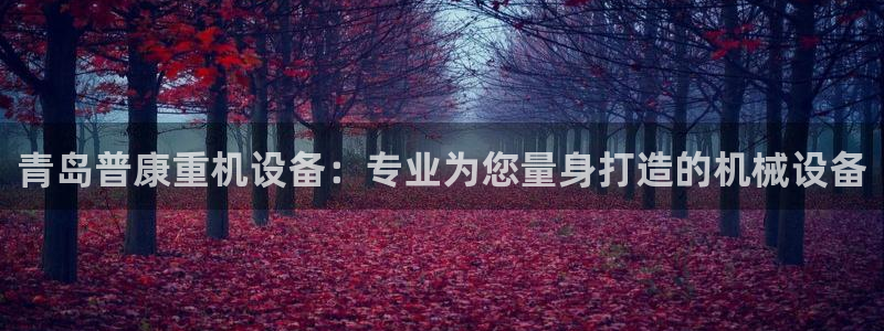 顺盈娱乐招商木判官333OO