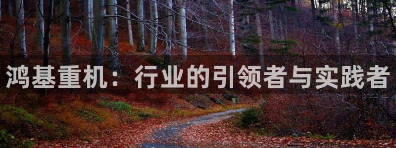 顺盈娱乐怎么样