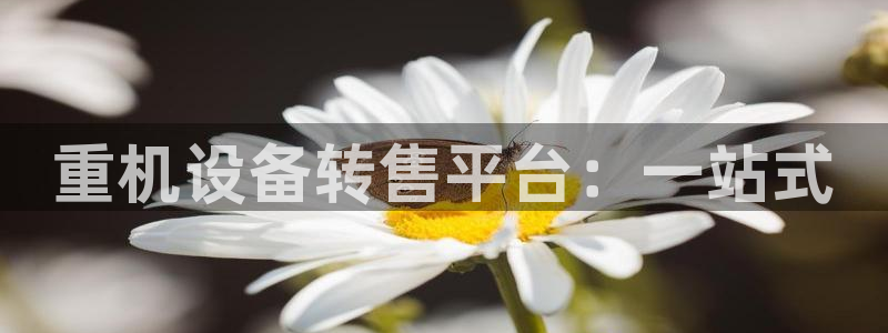 顺盈娱乐 炤企鹅779O3