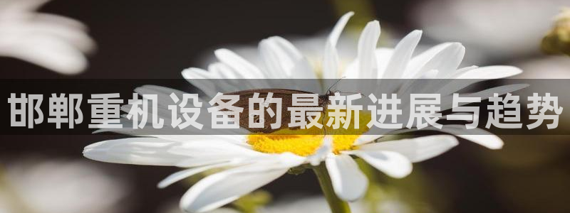 三水区顺盈棋牌娱乐