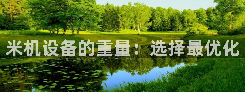 顺盈娱乐在线注册不了：米机设备的重量：选择最优化