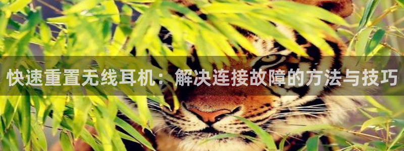顺盈娱乐主管天原判官333OO：快速重置无线耳机：解决连接故