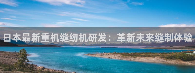 盈顺休闲娱乐室团购券：日本最新重机缝纫机研发：革新未来缝制体