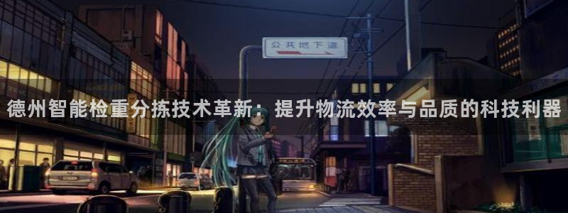 清远顺盈娱乐怎么样：德州智能检重分拣技术革新：提升物流效率与
