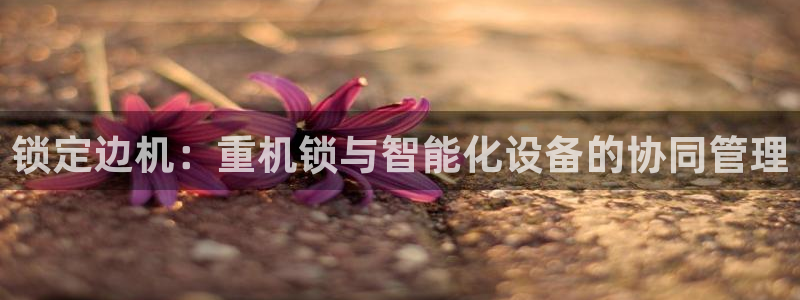 顺盈娱乐找527b.cn升哥：锁定边机：重机锁与智能化设备的