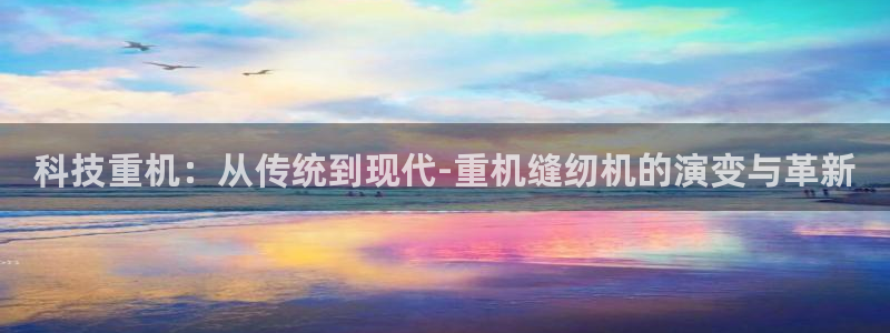 顺盈娱乐下载手机版：科技重机：从传统到现代-重机缝纫机的演变