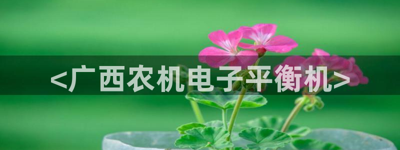 顺盈娱乐是什么意思：<广西农机电子平衡机>