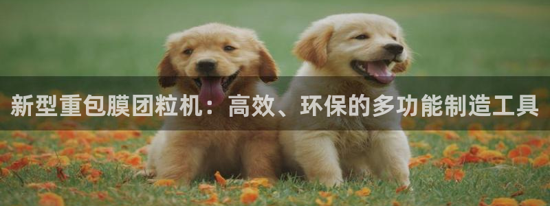 顺盈娱乐直究7276O：新型重包膜团粒机：高效、环保的多功能