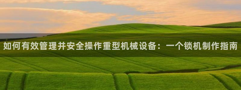 顺盈娱乐主管监判官333OO：如何有效管理并安全操作重型机械