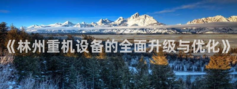 顺盈娱乐注册这唐老鸭779O3：《林州重机设备的全面升级与优