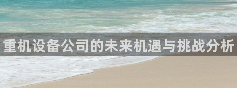 顺盈童欢娱乐有限公司：重机设备公司的未来机遇与挑战分析