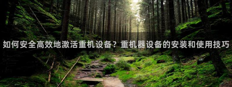 顺盈娱乐主管联天神779O3：如何安全高效地激活重机设备？重