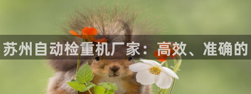 顺盈娱乐平台注册条件：苏州自动检重机厂家：高效、准确的