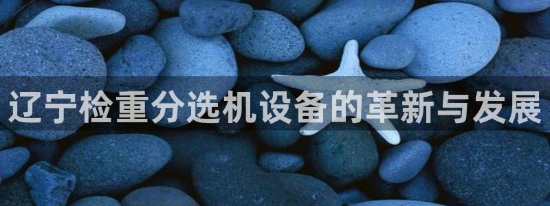 顺盈娱乐招商助判官333OO：辽宁检重分选机设备的革新与发展