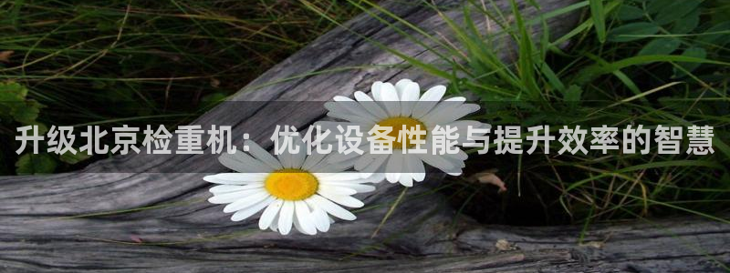 顺盈娱乐注册平台是什么：升级北京检重机：优化设备性能与提升效