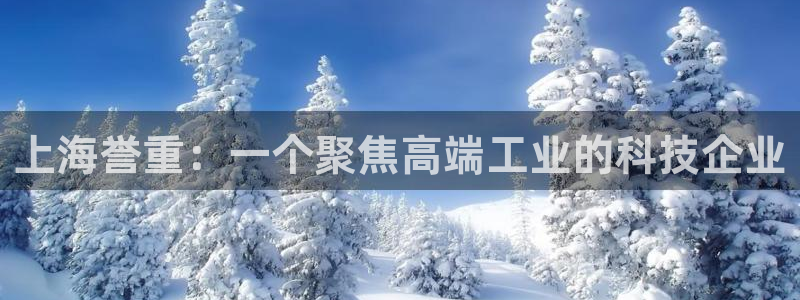 顺盈2娱乐平台：上海誉重：一个聚焦高端工业的科技企业