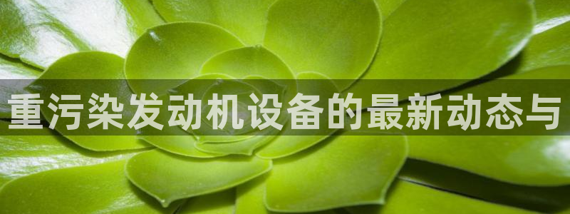 顺盈娱乐招商网判官333OO：重污染发动机设备的最新动态与