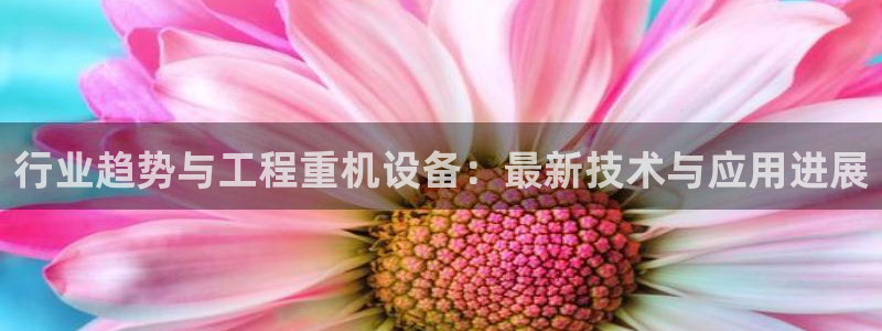 清远顺盈娱乐文案：行业趋势与工程重机设备：最新技术与应用进展