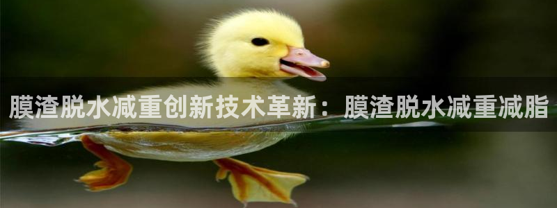 顺盈娱乐平台下载安装：膜渣脱水减重创新技术革新：膜渣脱水减重