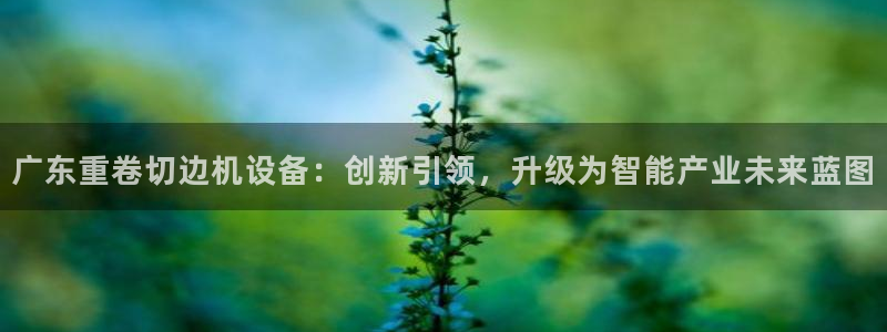 顺盈娱乐西班牙28房：广东重卷切边机设备：创新引领，升级为智