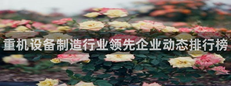 顺盈娱乐场所：重机设备制造行业领先企业动态排行榜