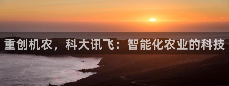 顺盈娱乐姜333OO