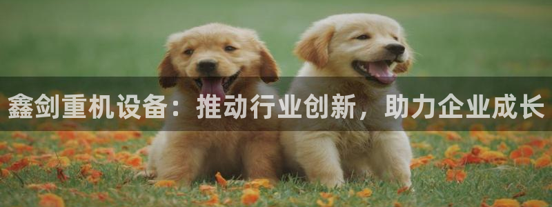 顺盈娱乐注册口究333OO