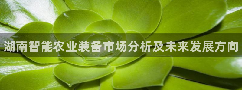清远顺盈娱乐集团怎么样
