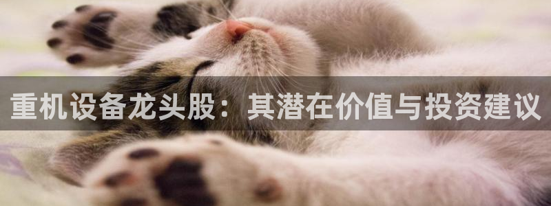 顺盈娱乐主管：重机设备龙头股：其潜在价值与投资建议