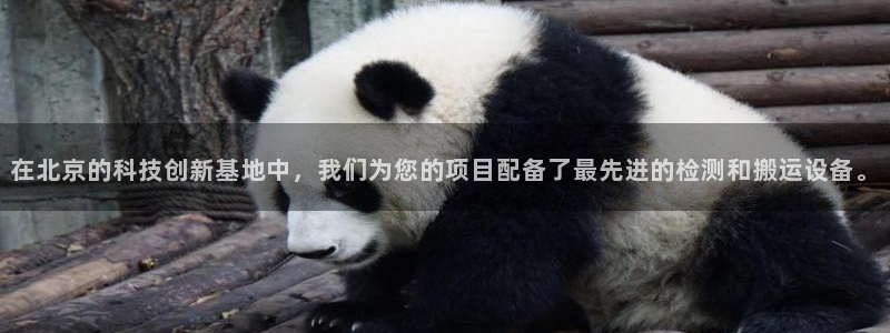 顺盈娱乐在线注册网址：在北京的科技创新基地中，我们为您的项目