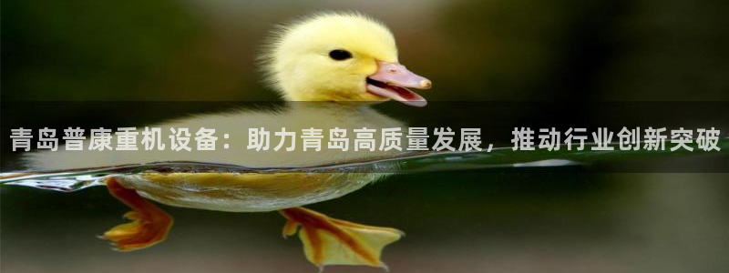 顺盈娱乐主管经判官333OO：青岛普康重机设备：助力青岛高质