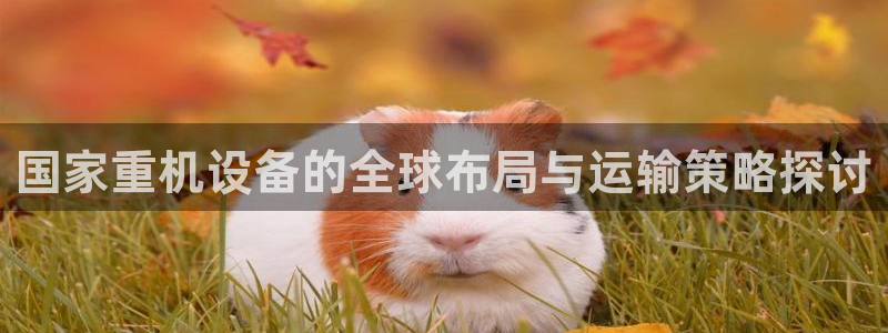 顺盈2娱乐注册问一问：国家重机设备的全球布局与运输策略探讨