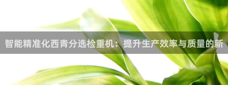 顺盈广场团购娱乐怎么样：智能精准化西青分选检重机：提升生产效