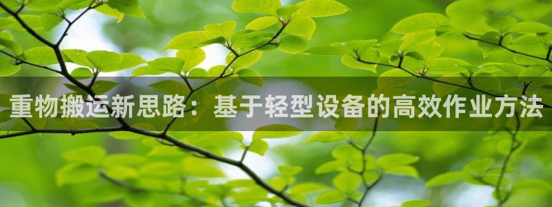 顺盈娱乐语7O777：重物搬运新思路：基于轻型设备的高效作业