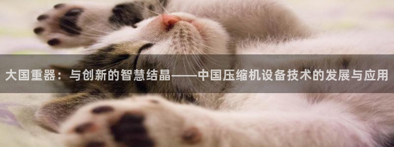 顺盈抖音团购娱乐：大国重器：与创新的智慧结晶——中国压缩机设