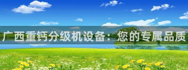 顺盈娱乐下载安装手机版：广西重钙分级机设备：您的专属品质