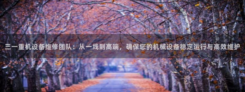 顺盈娱乐下载手机版：三一重机设备维修团队：从一线到高端，确保