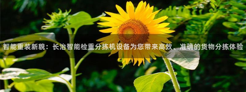 顺盈2娱乐主管刘判官333OO：智能重装新貌：长治智能检重分