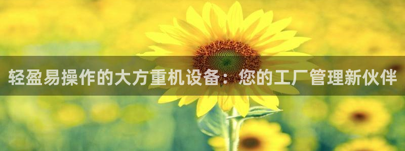 盈顺休闲娱乐室在哪里：轻盈易操作的大方重机设备：您的工厂管理