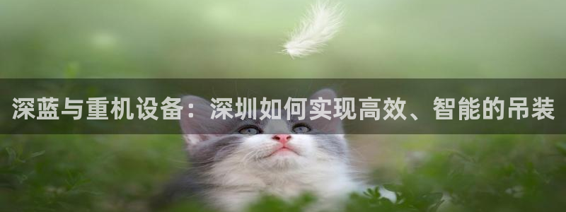 顺盈娱乐注册登录地址：深蓝与重机设备：深圳如何实现高效、智能