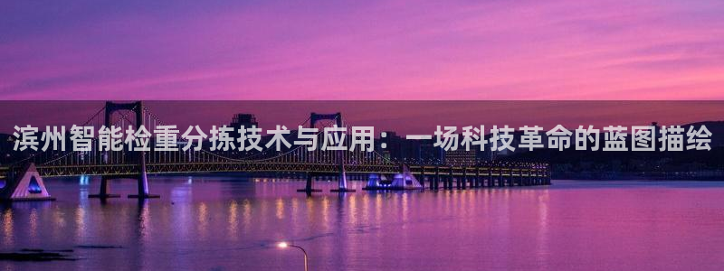 顺盈娱乐平台注册：滨州智能检重分拣技术与应用：一场科技革命的