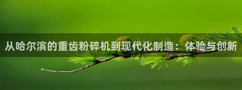 顺盈娱乐官网首页：从哈尔滨的重齿粉碎机到现代化制造：体验与创