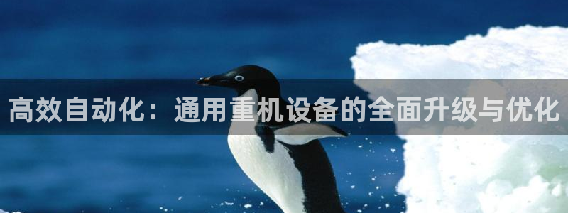 清远顺盈娱乐集团实习：高效自动化：通用重机设备的全面升级与优