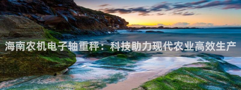 清远顺盈娱乐公司电话：海南农机电子轴重秤：科技助力现代农业高