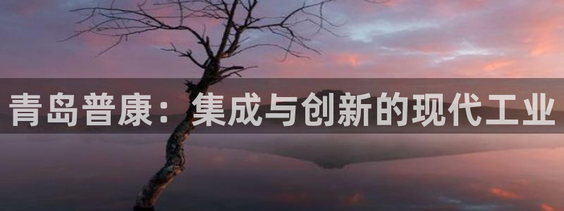 顺盈娱乐平台会黑人吗：青岛普康：集成与创新的现代工业