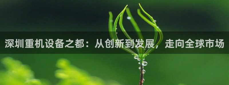 盈顺休闲娱乐室团购价格