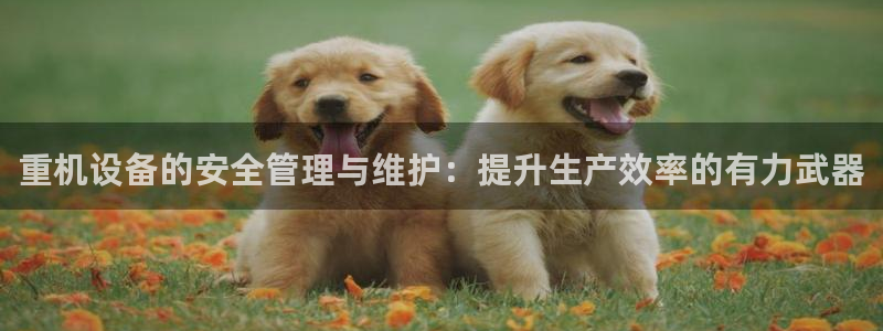 盈顺棋牌娱乐室电话多少