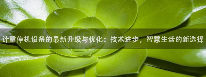 顺盈娱乐在线注册网址：计重停机设备的最新升级与优化：技术进步