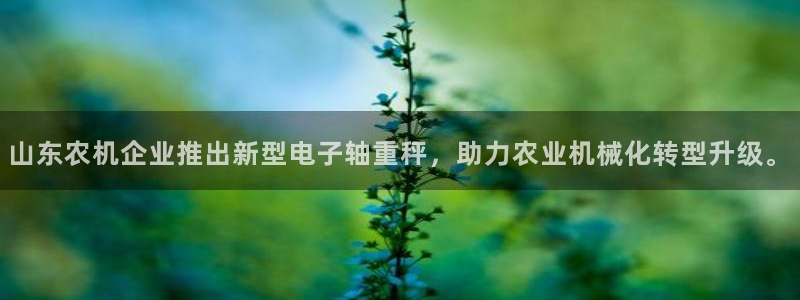 清远顺盈娱乐集团招聘：山东农机企业推出新型电子轴重秤，助力农